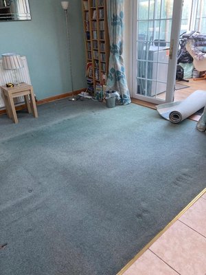 Photo of free Carpet (IP1)