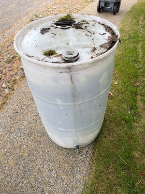Photo of free Rain barrel (Bothell, Maywood Hill)