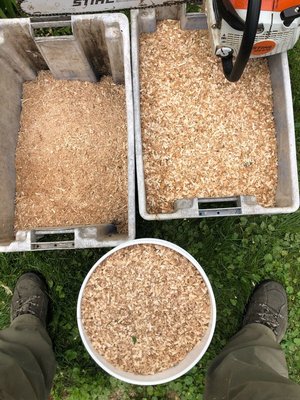 Photo of free Wood shavings small animal bedding? (Browns Line/Lakeshore)