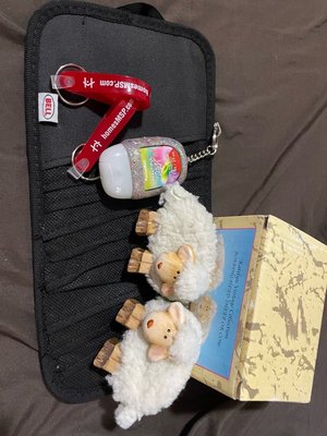 Photo of free sheep magnets keychains CD holder (Cathedral Hill)