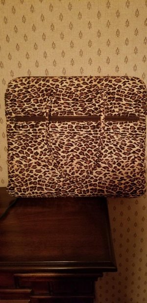 Photo of free Laptop Case (Central Woburn)
