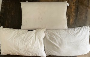 Photo of free Old, used pillows (mix of types) (Burnage M20)