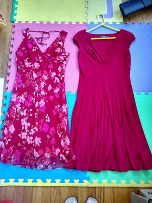 Photo of free Dresses size 10 (downtown Downers Grove)