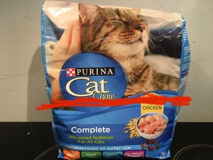 Photo of free 1/4 bag of Purina Cat Food (Oshawa)