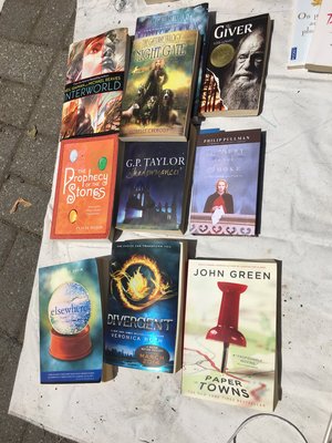 Photo of free Teen books (Willow/queen)