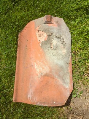 Photo of Roof tiles (Stalham)