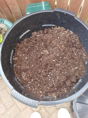 Photo of free Superior Coco soil (Gipsyville HU4)