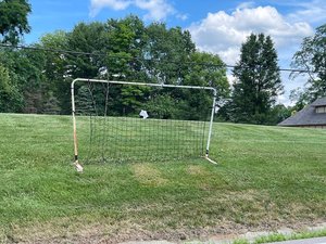 Photo of free Soccer goal net and frame (Brighton, MI)