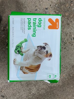 Photo of free XLg pet stairs plus dog pads (Glendale)