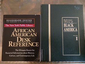 Photo of free African-American Studies Books (NW DC (Chevy Chase/Tenley))
