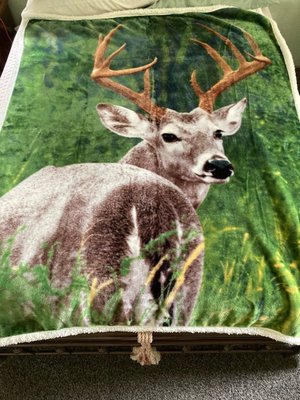 Photo of free New deer throw blanket (Pembroke Pines)
