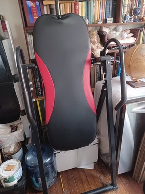 Photo of free Great inversion table (South ozone pk, queens)