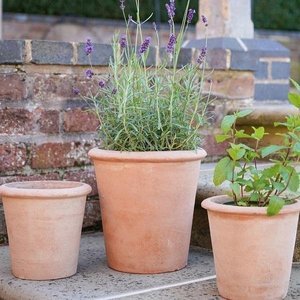 Photo of Plant pots needed for herb garden🪴 (SW16)