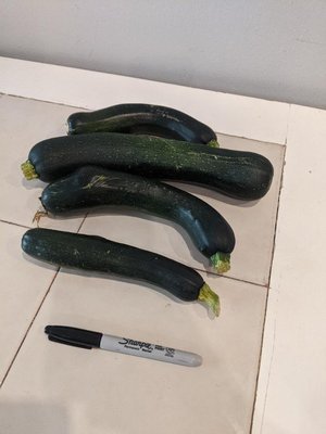 Photo of free 4x courgettes/zucchinis (Granton, Edinburgh)