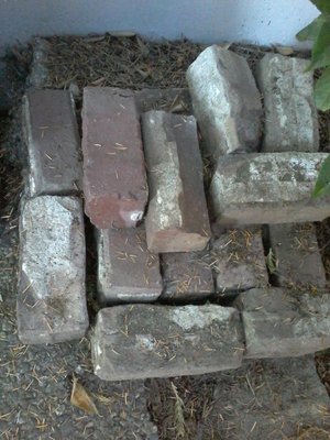 Photo of free Brick pavers (NE Seattle) (Hawthorne Hills in NE Seattle)