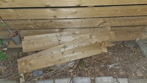 Photo of free Timber boards (Clermiston EH4)