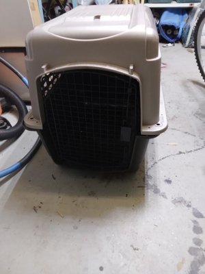 Photo of free Large dog crate (Riverdale, Md)