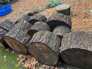Photo of free Fir firewood u split (West Portland Park)