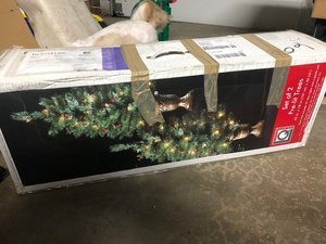 Photo of free Two small Christmas trees (Bartlett)