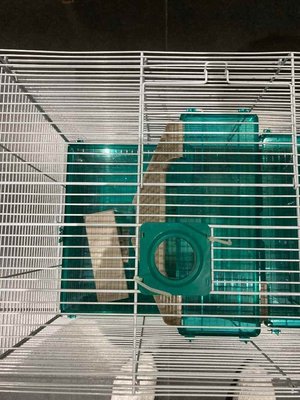 Photo of free Dwarf hamster cage (Black Dam RG21)