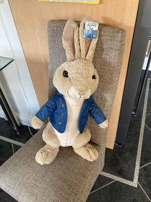 Photo of free Peter Rabbit cuddly toy (Bournmoor DH4)
