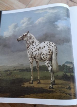 Photo of free Book: "The Horse", a celebration of horses in art (Bilton CV22)