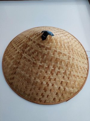 Photo of free Bamboo hat (Whiteley, PO15)