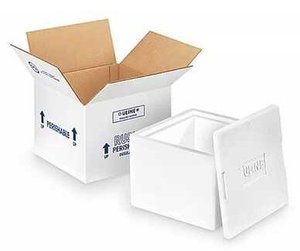 Photo of free Insulated Shipping Boxes 9.5 x 12 (Claudia Dr.)