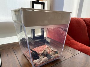 Photo of free Fish Tank (Foggy Bottom, DC)