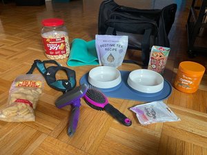 Photo of free Dog supplies/treats (Midtown East)