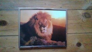 Photo of free Framed Lion Picture (Saint Thomas Ward EX2)