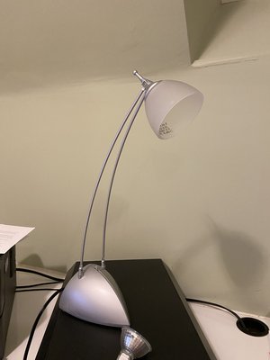 Photo of free IKEA Lamp (Museum of Nature - Centretown)