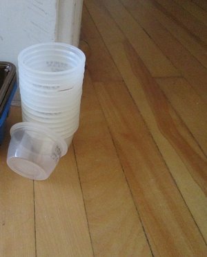Photo of free small plastic containers (Old Ottawa South)