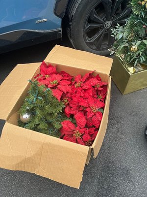 Photo of free Artificial tree and poinsettias (Clifton Park, New York)