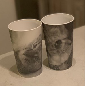 Photo of free Plastic kitty cups (VP/ Danforth)
