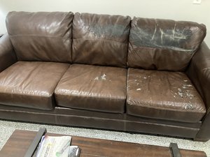 Photo of free Couch & over sized chair (About 5 min from downtown)