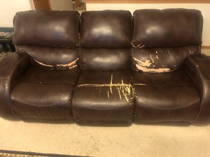 Photo of free Couch (Harry and Greenwich area.)