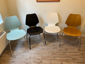Photo of free Bent Plywood Chairs (Queen Anne)