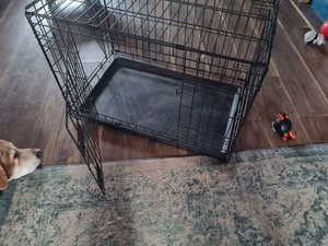 Photo of free Dog cage (Hetton-le-Hole DH5)