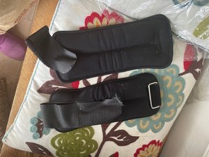 Photo of free Ankle weights (Enfield)