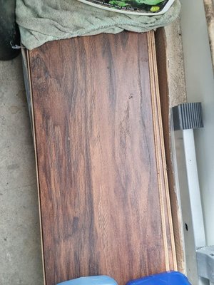 Photo of free Oak Laminate Floor (Bucksburn AB21)