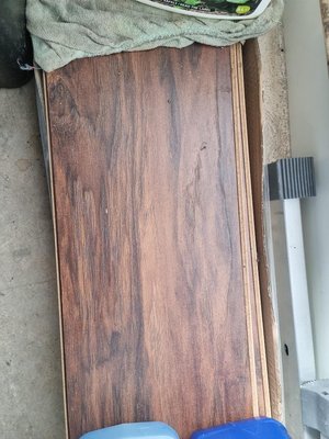 Photo of free Oak Laminate Floor (Bucksburn AB21)