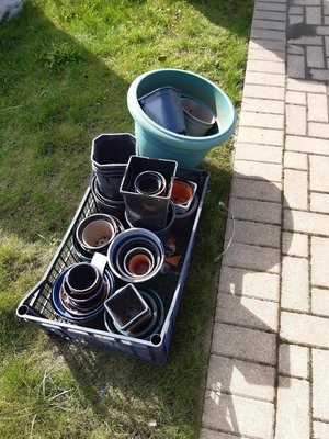 Photo of free Selection of pots (Corsham SN13)