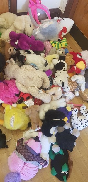 Photo of free 4 bin liners of old soft toys (HX2)