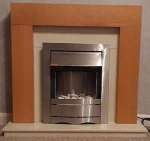 Photo of free fireplace - electric, plug in (Paignton, TQ3)