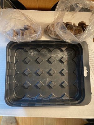 Photo of free Seed starting tray (Green Lake)