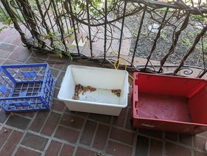 Photo of free plastic bins and a crate (Petworth neighborhood WDC NW)