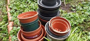 Photo of free Plant pots (Great Strickland CA10)