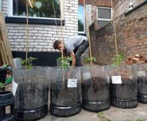 Photo of free Plastic beer kegs for upcycling (DH1)