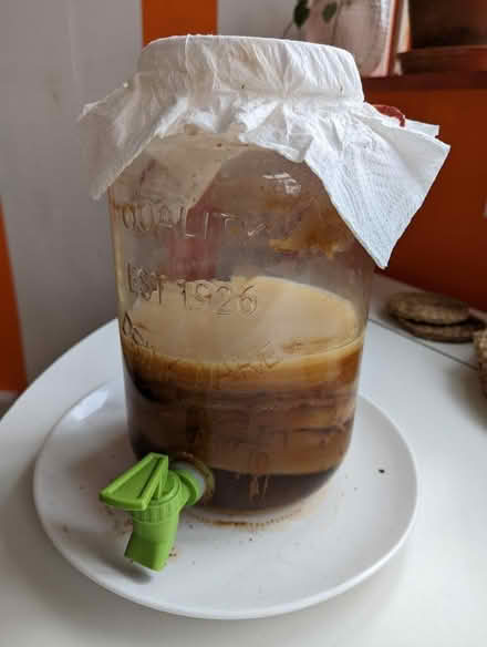 Photo of free Kombucha Scoby (N8 crouch hill) #1